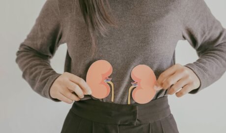 Böbrek sağlığını temsil eden böbrek görselini ellerinde tutan kadın